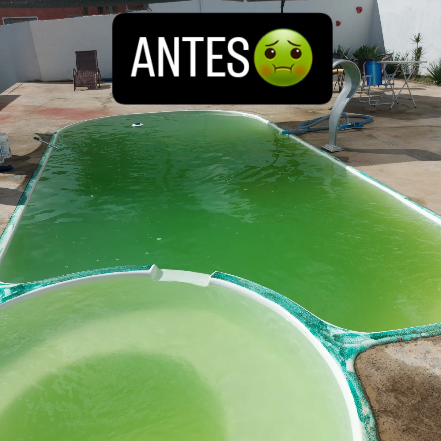 Antes da limpeza - Piscina com água verde